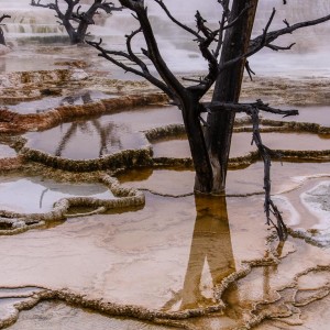 Sinterterassen in Mammoth Hot Springs Sinterterassen in Mammoth Hot Springs