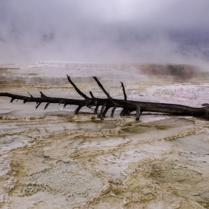 An den Mammoth Hot Springs An den Mammoth Hot Springs