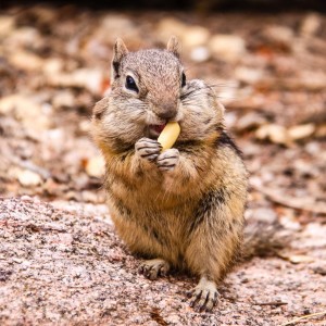 Einer geht noch rein! Einer geht noch rein!