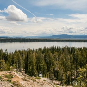 Schöne Aussicht auf den Jenny Lake Schöne Aussicht auf den Jenny Lake