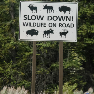 Schön aufpassen! Schön aufpassen!