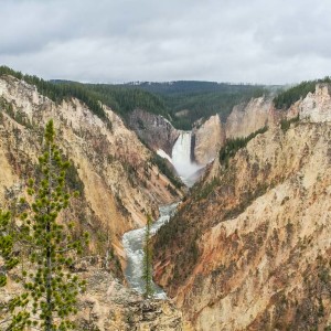 Blick vom Artist Point auf die Lower Falls Blick vom Artist Point auf die Lower Falls