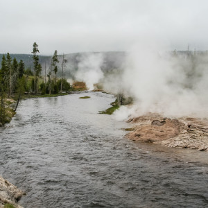 Spaziergang zum Daisy Geysir Spaziergang zum Daisy Geysir