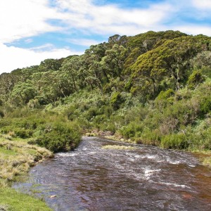 Am Chania Wasserfall im Aberdare NP Am Chania Wasserfall im Aberdare NP