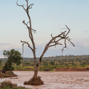 Anzeichen der Überschwemmung
