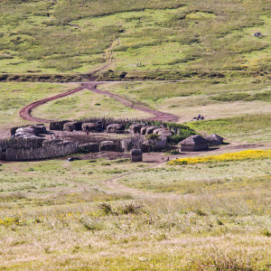 Ein Massaidorf am Ngorongoro Krater Ein Massaidorf am Ngorongoro Krater