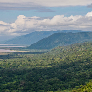 Blick auf den Lake Manyara Blick auf den Lake Manyara