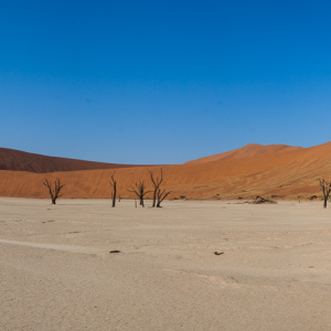 Deadvlei Panorama Deadvlei Panorama