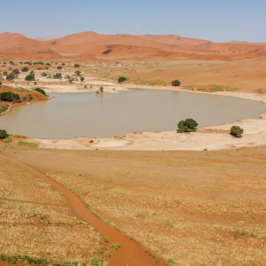 Oase im Sossusvlei Oase im Sossusvlei