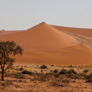 Dünenlandschaft Dünenlandschaft