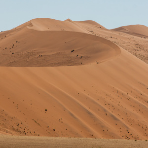Dünen im Sossusvlei Dünen im Sossusvlei