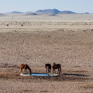 Die Wasserstelle von Aus Die Wasserstelle von Aus