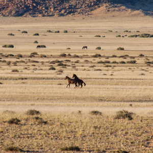 Was ist denn da los? Was ist denn da los?