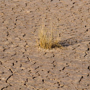 Ausgetrocknete Erde Ausgetrocknete Erde