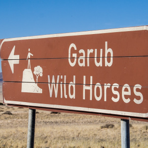 Hinweisschild zu den Wildpferden Hinweisschild zu den Wildpferden