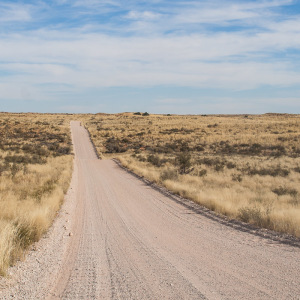 Straße im Kgalagadi