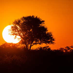 Sonnenuntergang am Okaukuejo Wasserloch