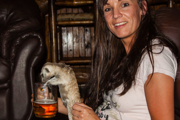 Der vorwitzige Carlos