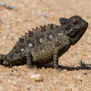 Und wenige Sekunden danach komplett schwarz