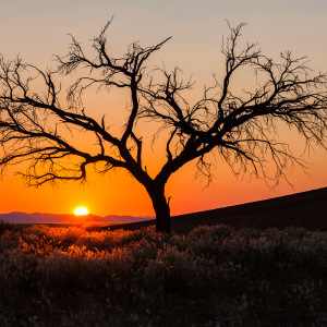 Sonnenaufgang an der Düne 45 Sonnenaufgang an der Düne 45