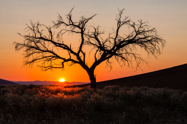 Sonnenaufgang an der Düne 45