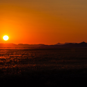 Sonnenaufgang an der Düne 45 Sonnenaufgang an der Düne 45