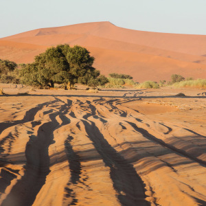 Tiefsandpiste zum Sossusvlei Tiefsandpiste zum Sossusvlei