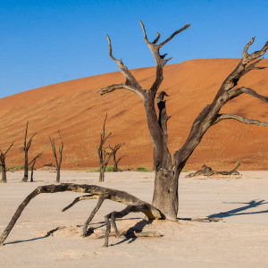 Im Deadvlei Im Deadvlei
