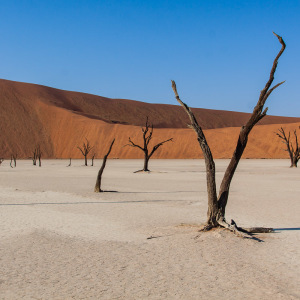 Im Deadvlei Im Deadvlei