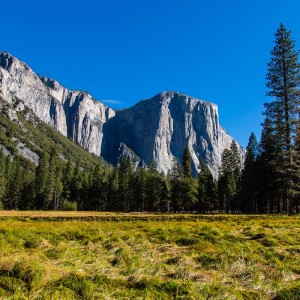 Blick auf den El Capitan Blick auf den El Capitan