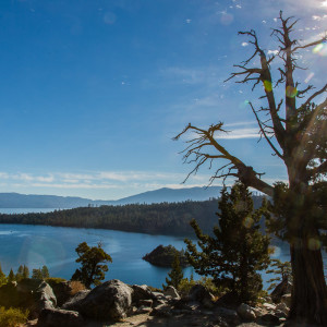 Auf dem Wanderweg zum Ufer