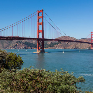 Blick vom Battery Park Blick vom Battery Park