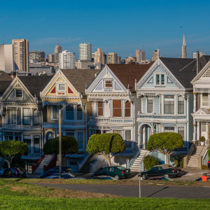 Die Painted Ladies Die Painted Ladies