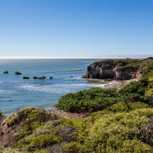 Ano Nuevo State Park Ano Nuevo State Park