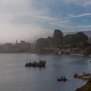 Der Hafen in Monterey Der Hafen in Monterey