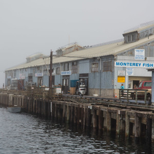 Pier im Nebel in Monterey Pier im Nebel in Monterey