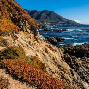 Bunte Heide an der Big Sur Küste Bunte Heide an der Big Sur Küste