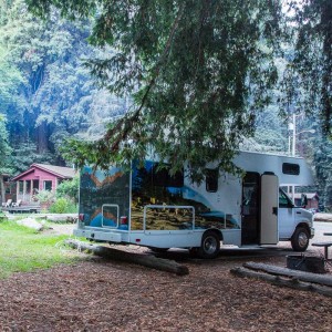 Stellplatz im Wald Stellplatz im Wald