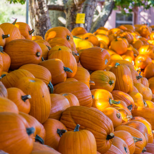 Aufgestapelte Kürbisse Aufgestapelte Kürbisse