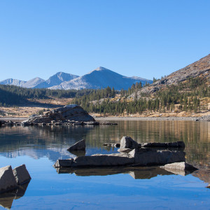 Blick über den Tioga Lake Blick über den Tioga Lake