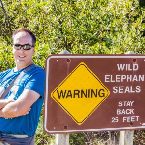 Warnung vor den Seeelefanten Warnung vor den Seeelefanten