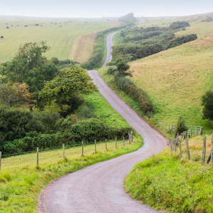 Straßenverlauf bei Abbotsbury Straßenverlauf bei Abbotsbury