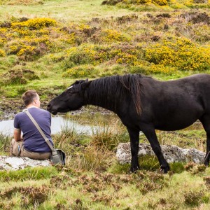 Pony auf Tuchfühlung