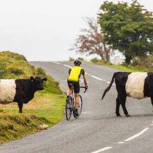 Wer hat hier Vorfahrt?