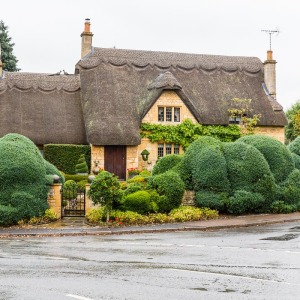 Fesche Hecke in Chipping Campden Fesche Hecke in Chipping Campden