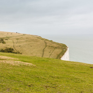 Die White Cliffs Die White Cliffs