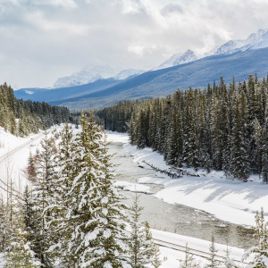 Morant’s Curve Morant's Curve