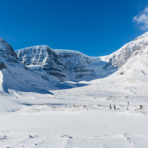 Athabasca Gletscher Athabasca Gletscher