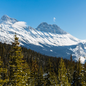 Icefields Parkway Icefields Parkway