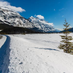 Icefields Parkway Icefields Parkway
